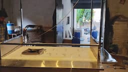Vadodara Virtual Office